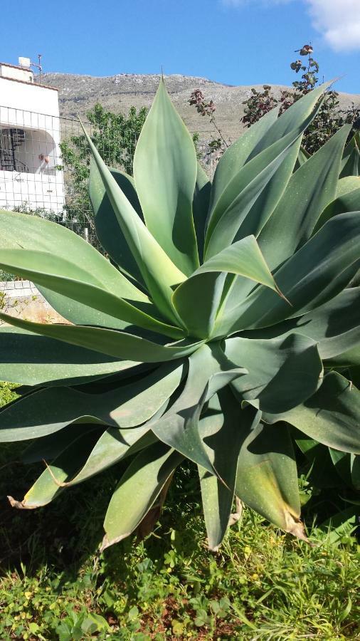 Karma B&B San Vito Lo Capo Dış mekan fotoğraf